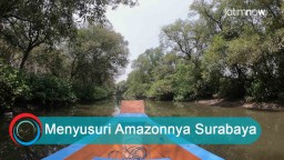 Video: Menyusuri Amazonnya Surabaya