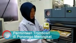 Video: Permintaan Trombosit di Ponorogo Meningkat