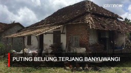 Video: Puting Beliung Terjang Banyuwangi
