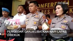 Video: Pengedar Ganja Libatkan Napi Lapas Dibekuk