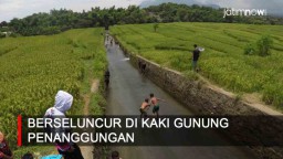 Video: Serunya Berseluncur di Kaki Gunung Penanggungan