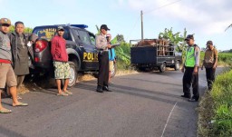 Pikap Bermuatan Sapi Tabrak Motor di Ponorogo, Satu Pelajar Tewas