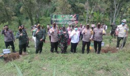 Antisipasi Banjir dan Longsor di Mojokerto, Satu Juta Pohon Ditanam