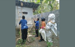 Serang Pemilik Rumah, Sarang Tawon Ndas di Blitar Dievakuasi
