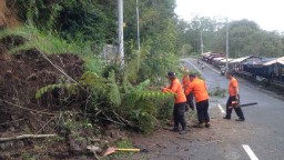 Tebing Jalan Sarangan Longsor, Jalur Jawa Timur-Jawa Tengah Terhambat