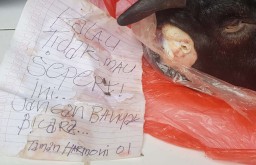 Penampakan Potongan Kepala Kambing dan Kertas Teror ke Pengawas Pemilu