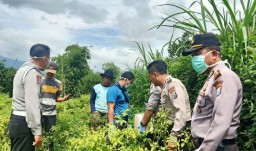 Pria Diduga Pencuri Cabai di Malang Tewas Tertembak Senapan Angin