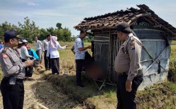 Kasihan, Petani ini Tewas di Gubuk Sawah