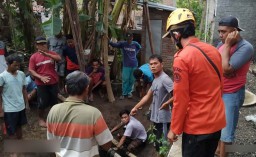 Sapi Terperosok dalam Septic Tank, Tim BPBD hingga TNI Diterjunkan