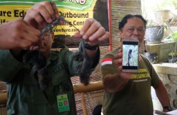 Lutung Jawa Mati Diduga Dibantai Pemburu, Ini Langkah BBKSDA