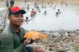 Meriahnya Tradisi Nyusuk di Desa Gredek Kedungbanteng, Gresik