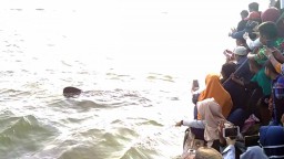 Disambut Hiu Tutul, Peserta Tradisi Praonan di Pasuruan Heboh
