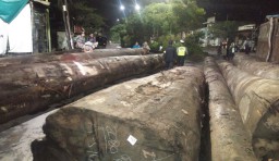 Kayu Gelondongan Tumpah, Jalan di Surabaya ini Sempat Tertutup