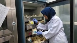Demam Berdarah Mewabah, Permintaan Trombosit di Ponorogo Meningkat