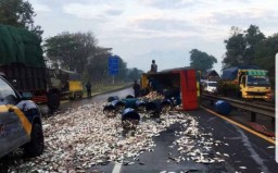 Truk Terguling di Tol Sidoarjo, Muatan Ikan Berhamburan ke Jalan