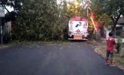 Truk Pertamina Tabrak Pohon, Avtur Senilai Rp 2 Miliar Tumpah ke Jalan