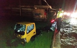 Sopir Mengantuk, Truk Colt Diesel Terperosok dalam Sawah di Ngawi