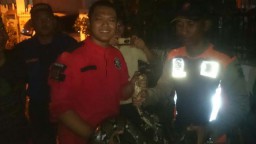 Sempat Jadi Buron, Ular Piton yang Gegerkan Warga Jagir Ditemukan