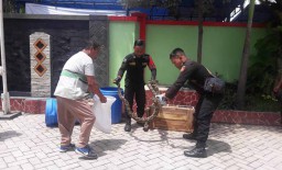 Ular Piton Tiga Meter Ditemukan di Undaan Kulon Surabaya