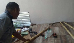 Ular Sanca Penyerang Warga Kota Probolinggo Akhirnya Tertangkap