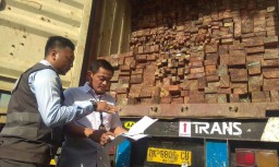 Kontainer Berisi 857 Batang Kayu Meranti Olahan Diamankan di Surabaya