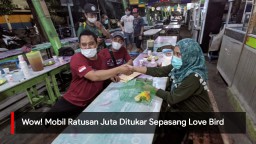 Video: Wow! Mobil Ratusan Juta Ditukar Sepasang Love Bird