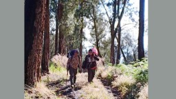 Jalur Pendakian Gunung Welirang-Arjuno Kembali Ditutup hingga Tahun Baru