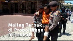 Video: Maling Ternak di Probolinggo Ditembak