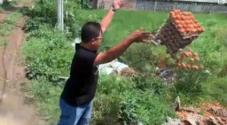Peternak Ayam di Magetan Buang Telur, Ini Tanggapan Dinas Peternakan