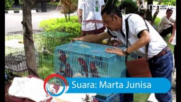 Photo Talk: Penggagalan Penyelundupan Burung Langka