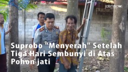 Video: Suprobo "Menyerah" Setelah Tiga Hari di Atas Pohon Jati
