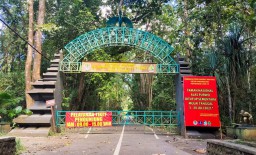 Vaksin di Taman Nasional Alas Purwo Disediakan Gratis Bagi Pengunjung