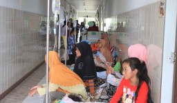 Pasien Demam Berdarah di Ponorogo Meningkat, Begini Kondisinya