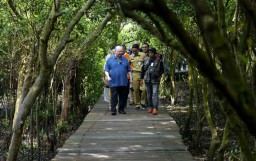 Mangrove Wonorejo, 'Prasasti' Persaudaraan Surabaya dan Papua