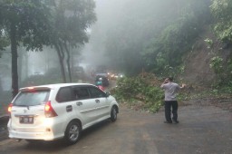 Jalur Gumitir Longsor, Banyak Kendaraan Terjebak 