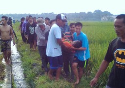Mencari Rumput di Sawah, Petani Tewas Tersambar Petir