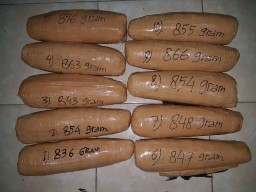 Penyelundupan Ganja 8,5 Kg di Juanda Digagalkan