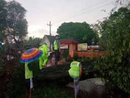 Berita Foto: Angin Puting Beliung Meluluhlantakkan 4 Desa di Blitar