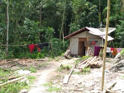 Pasutri Ini Mengaku Dua Bulan Diteror Ular Raksasa Misterius