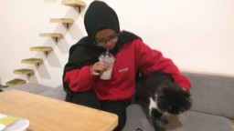 Kafe di Malang ini Tawarkan Sensasi Makan Sambil Bermain Kucing