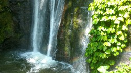 Sensasi Berpetualang di Coban Tarzan
