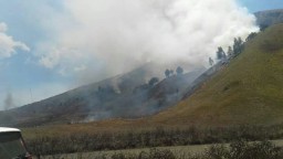 Gunung Bromo Terbakar, Jalur ke Bukit Teletubbies Tak Ditutup