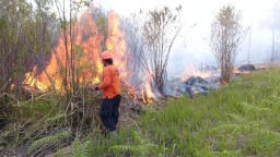 Kebakaran Hutan Gunung Meranti Semakin Meluas