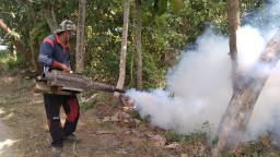Kasus Demam Berdarah di Tulungagung Meningkat