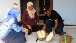 Durian Rosulin Asli Blitar?