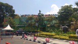 Kebun Binatang Surabaya Buka Lowongan, Ini Posisi yang Dibutuhkan