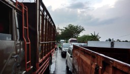 Hujan Angin di Bojonegoro, Pohon Tumbang Hingga Atap Masjid Semburat