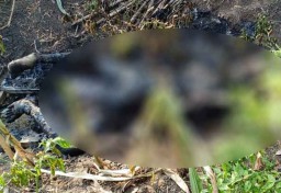 Sesosok Mayat Gosong Ditemukan di Tengah Kebun Tebu di Mojokerto
