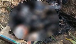 Identitas Mayat Gosong di Tengah Kebun Tebu Mojokerto Belum Terungkap
