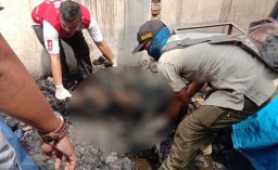 Kebakaran Pabrik Mancis di Langkat, 30 Orang Tewas Terpanggang